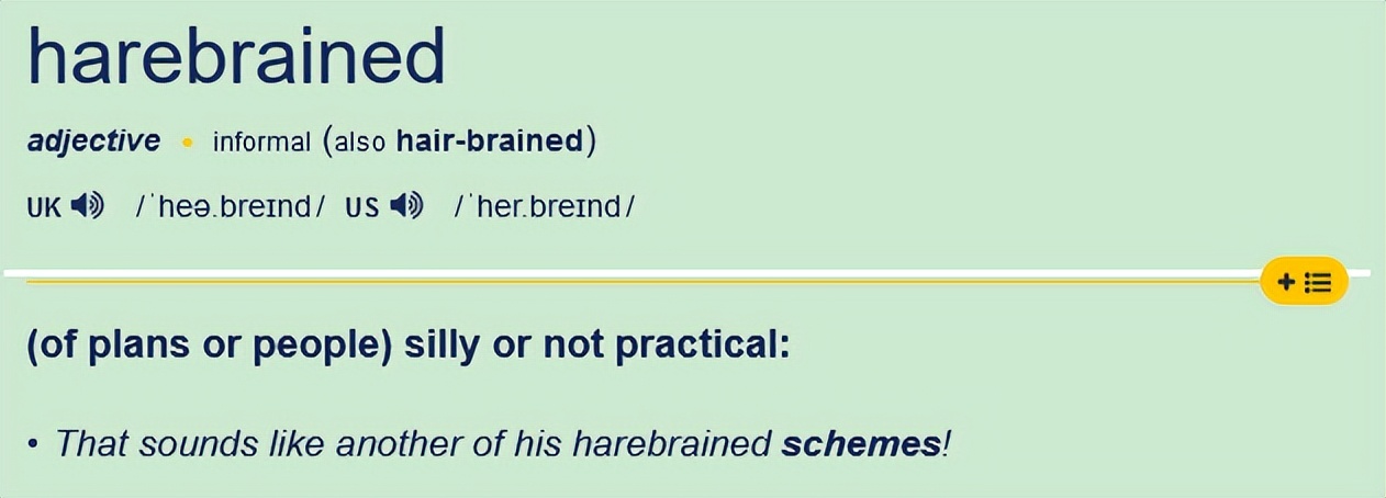 brain是什么词,brain是啥意思呀