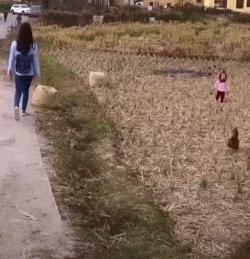 神回复P图,神回复自己的颜值