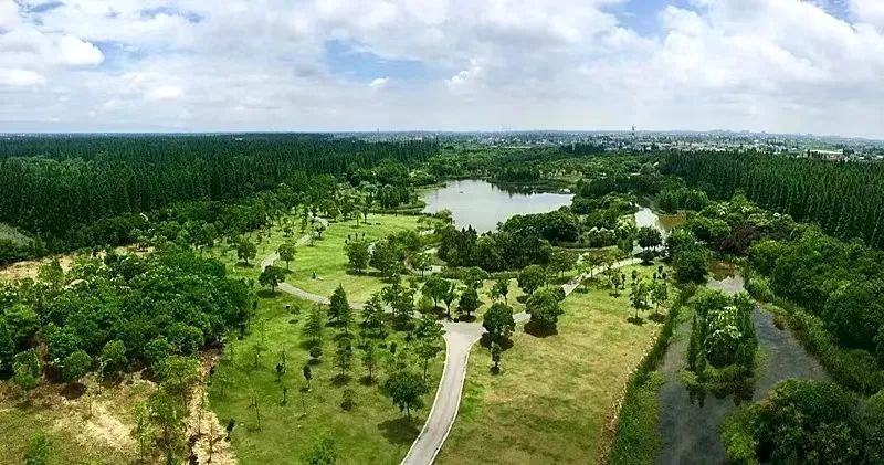 上海露营卡丁车哪里好玩,魔都自驾露营怎么玩