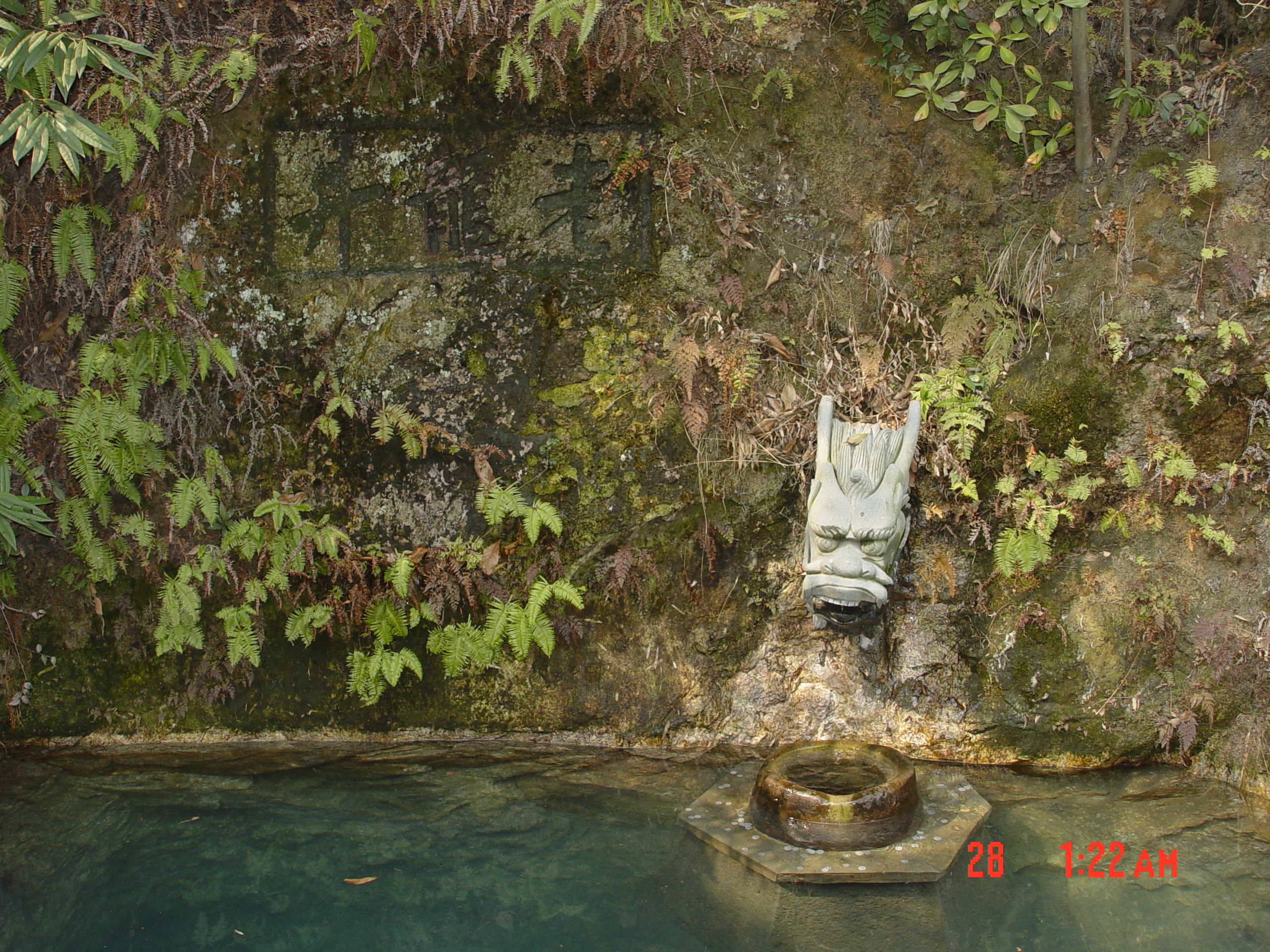 明前杭州西湖龙井茶,杭州西湖龙井茶山