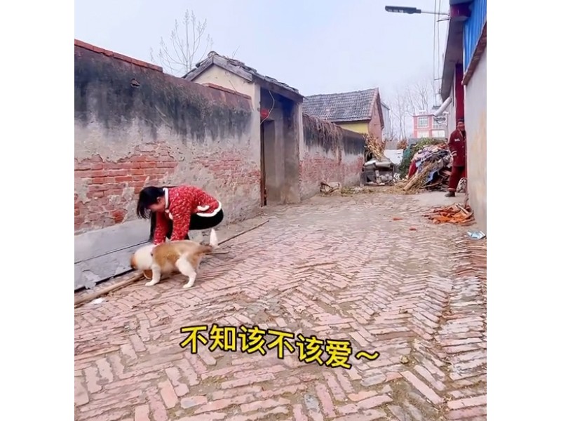 聂小妹：“疯癫”美女吸粉百万，明明能靠才艺，却偏偏要搞笑？