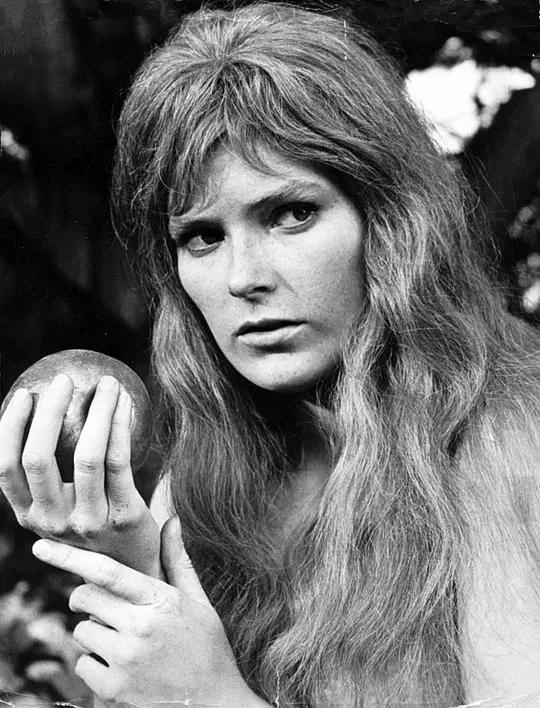 圣经电影创世时代,圣经中的意象及内涵