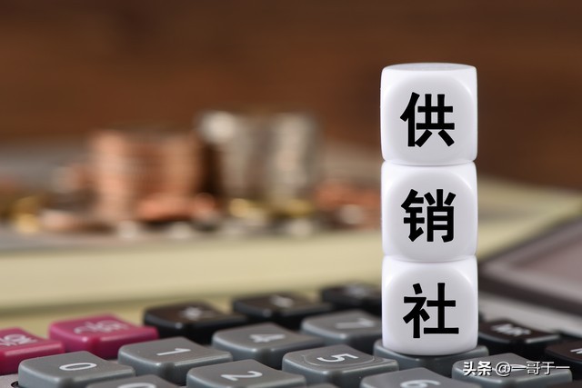 改革开放供销社,改革开放以来采购