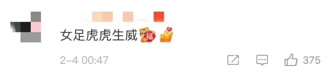 女足夺冠都是谁进的球,女足夺冠前一分钟视频