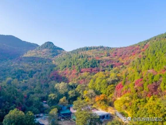 济南红叶谷最新视频,济南红叶谷免票政策