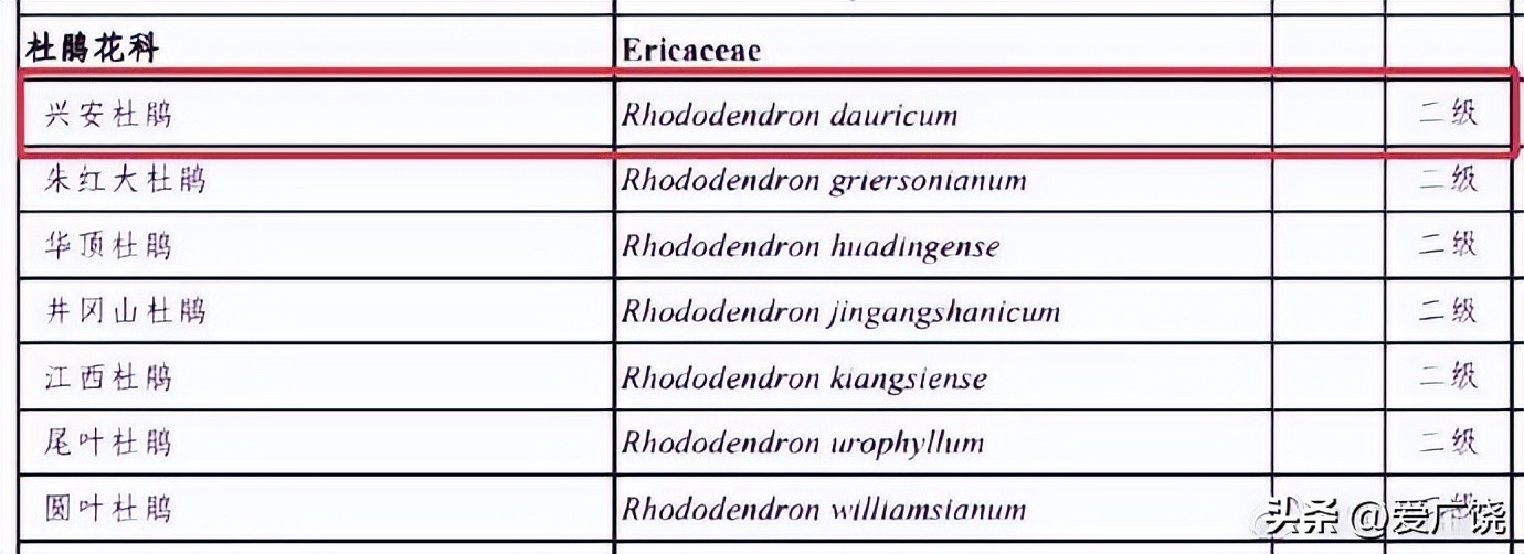 不要买！不要买！不要买！有毒