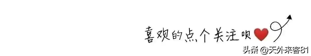 每日一动物：金刚鹦鹉【jīngāngyīngwǔ】