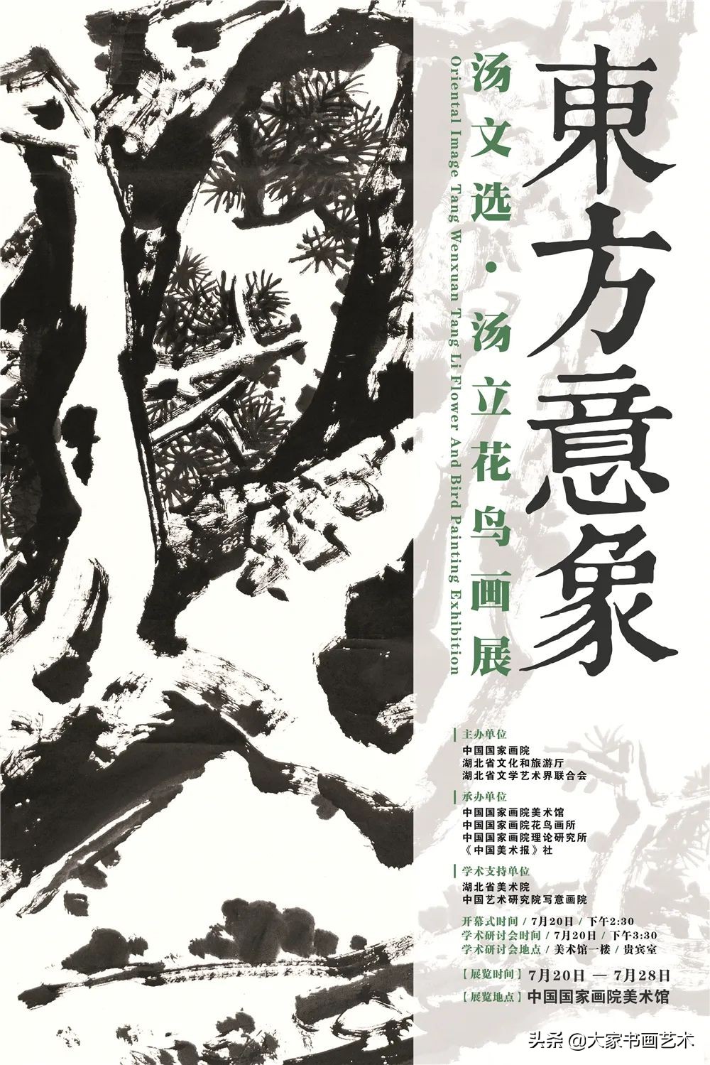 大家书画作品视频,汤立大写意花鸟画展