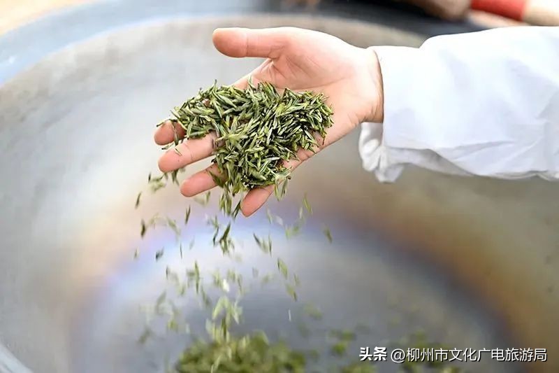 盛夏的风吹过茶园，穿过侗寨，在风情三江留恋不走~
