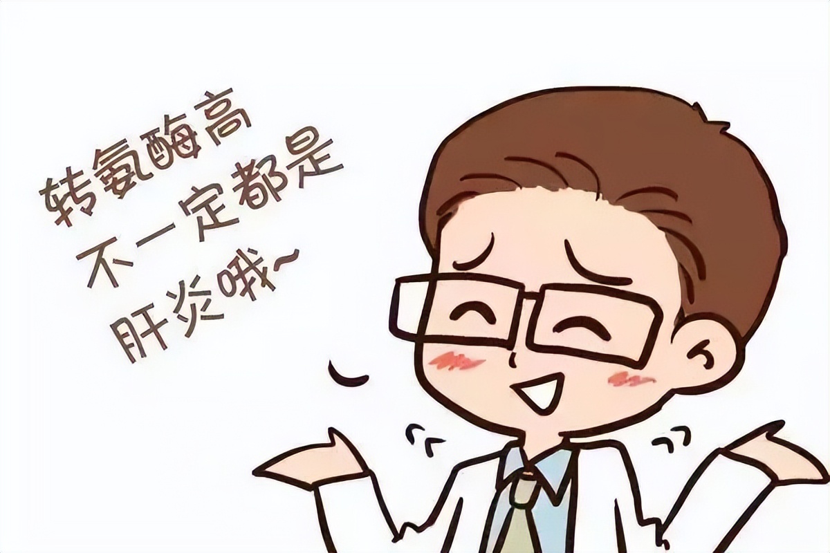 谷草转氨酶和谷丙转氨酶哪个难降,谷丙转氨酶与谷草转氨酶升高区别