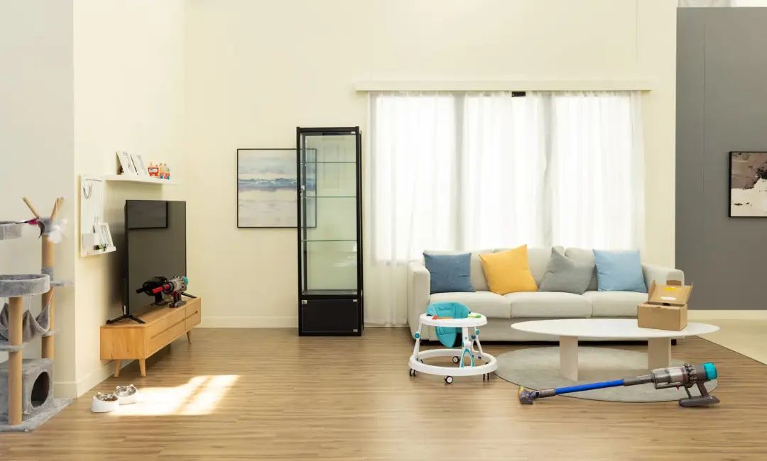 戴森吸尘器配的洗地刷头是正品吗,戴森吸尘器有洗地的功能吗