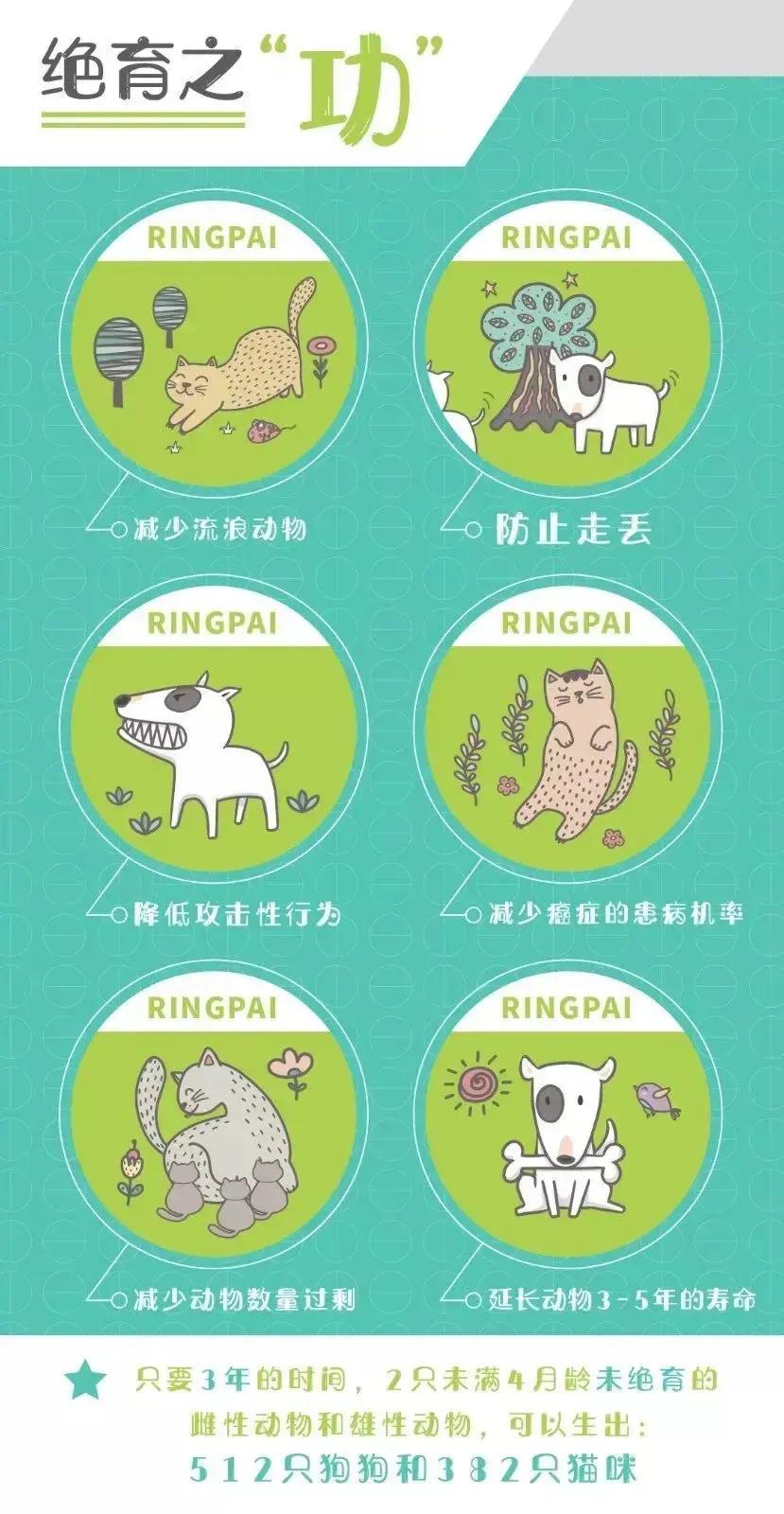 宠物绝育前，你需要知道的事