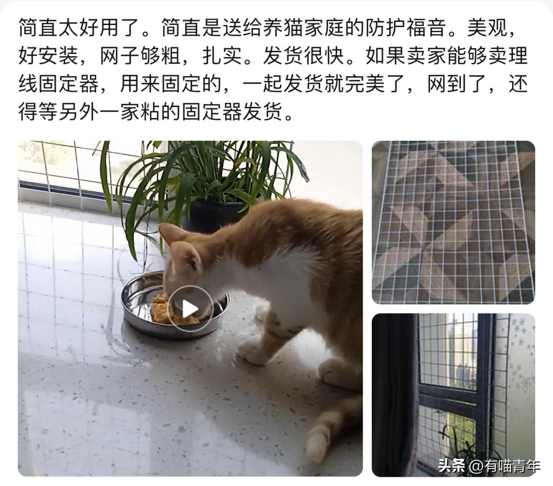 养猫的100个怪癖,养猫变态
