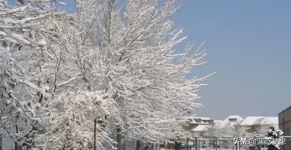 下雪朋友圈文案搞笑,下雪朋友圈文案