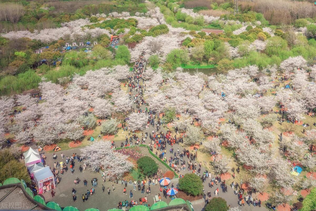 涓婃捣鍗佸ぇ璧忔鍦扮偣鎺掑悕,涓婃捣鍗佸ぇ璧忚姳鍏洯