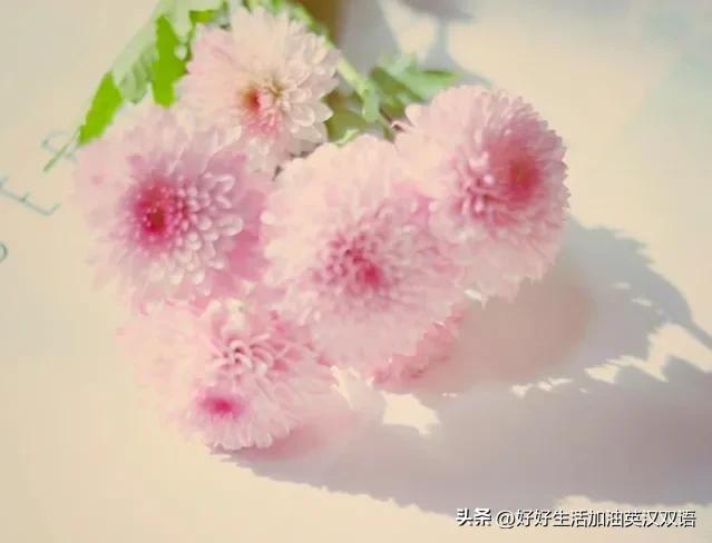 勇者永不屈服英文,勇者永不退缩作文