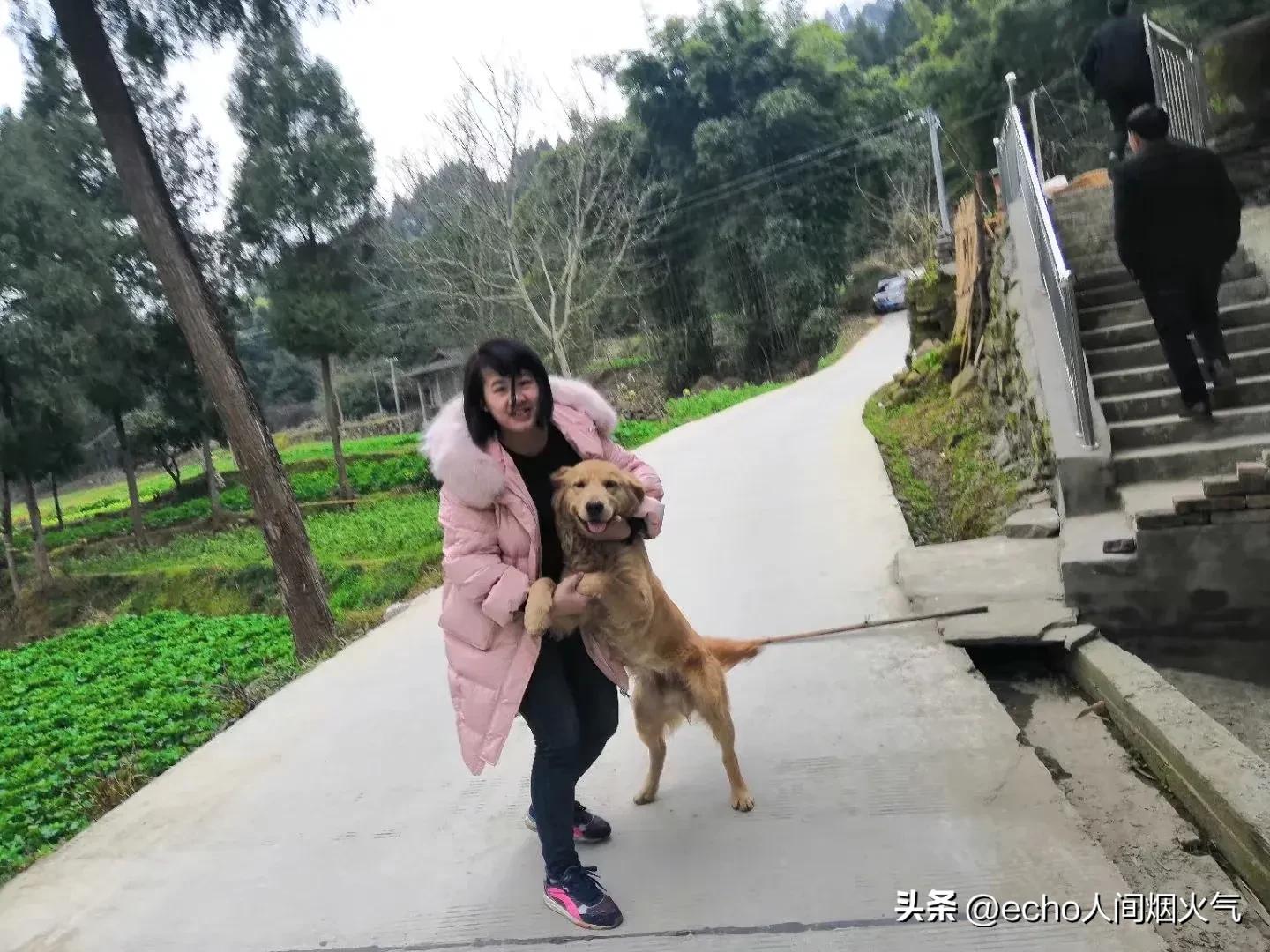 猫狗乱拉尿拉屎怎么办？