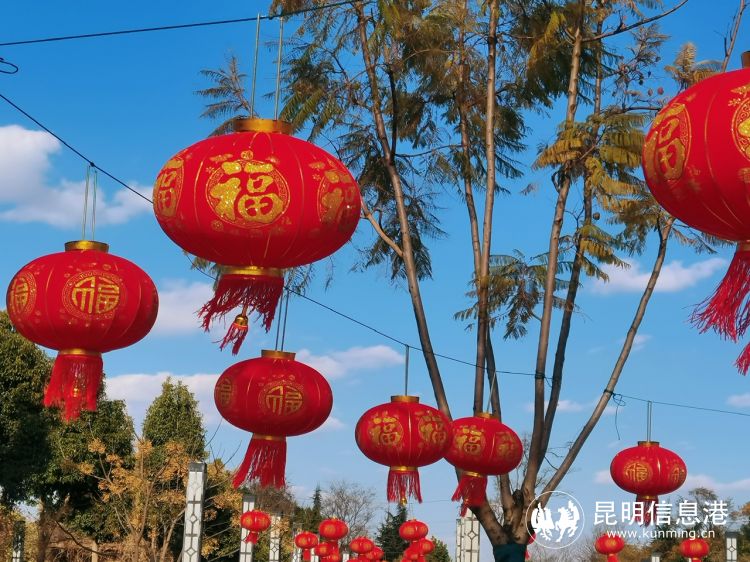 昆明网红打卡地教场中路蓝花路,昆明网红打卡地小花形环形天桥