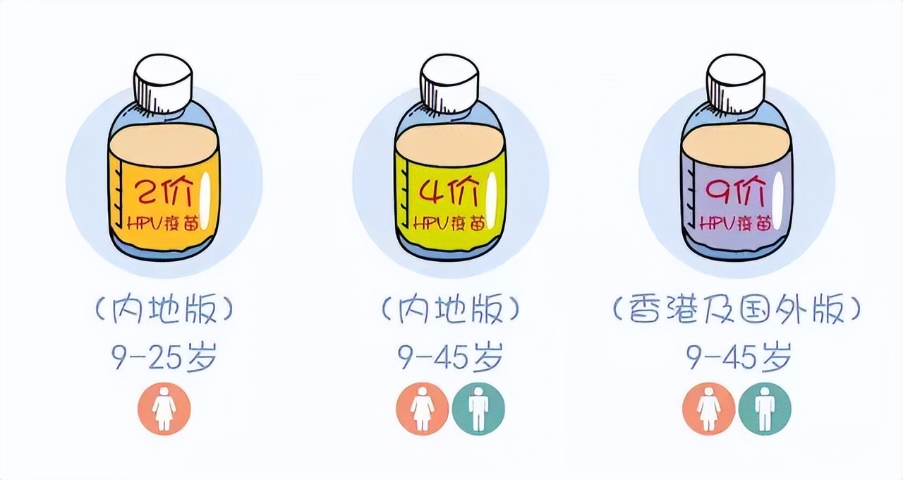 hpv疫苗打了对备孕有影响吗,打了hpv疫苗对胎儿有影响吗