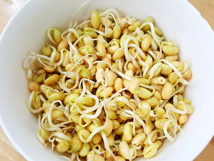 自制免浇水发豆芽,自己怎么做发豆芽神器