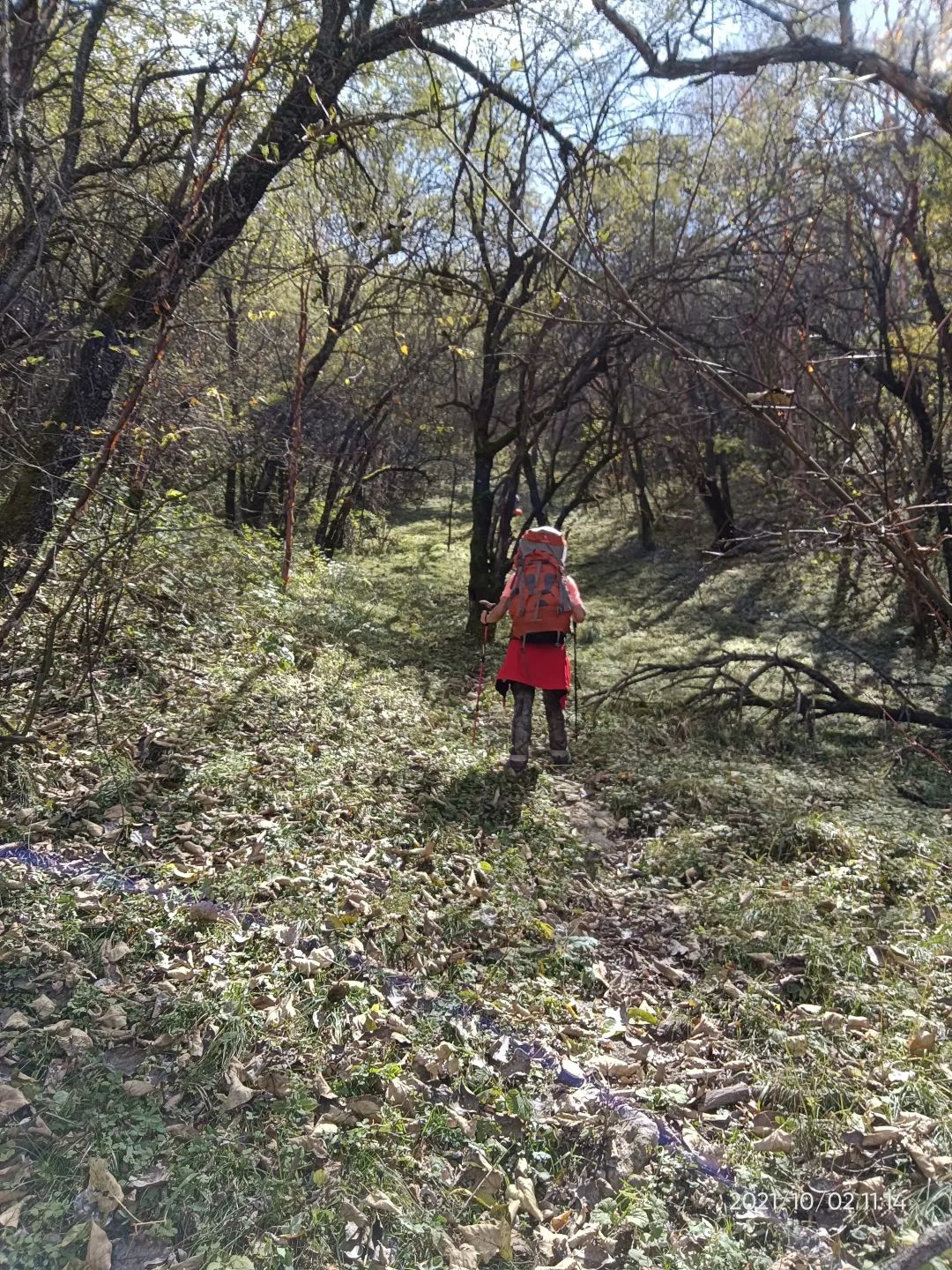 登太白山感受,太白山景区登顶拔仙台