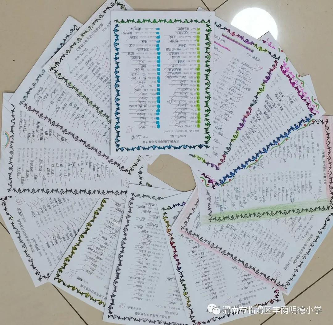 多彩活动齐绽放,多彩活动迎盛会