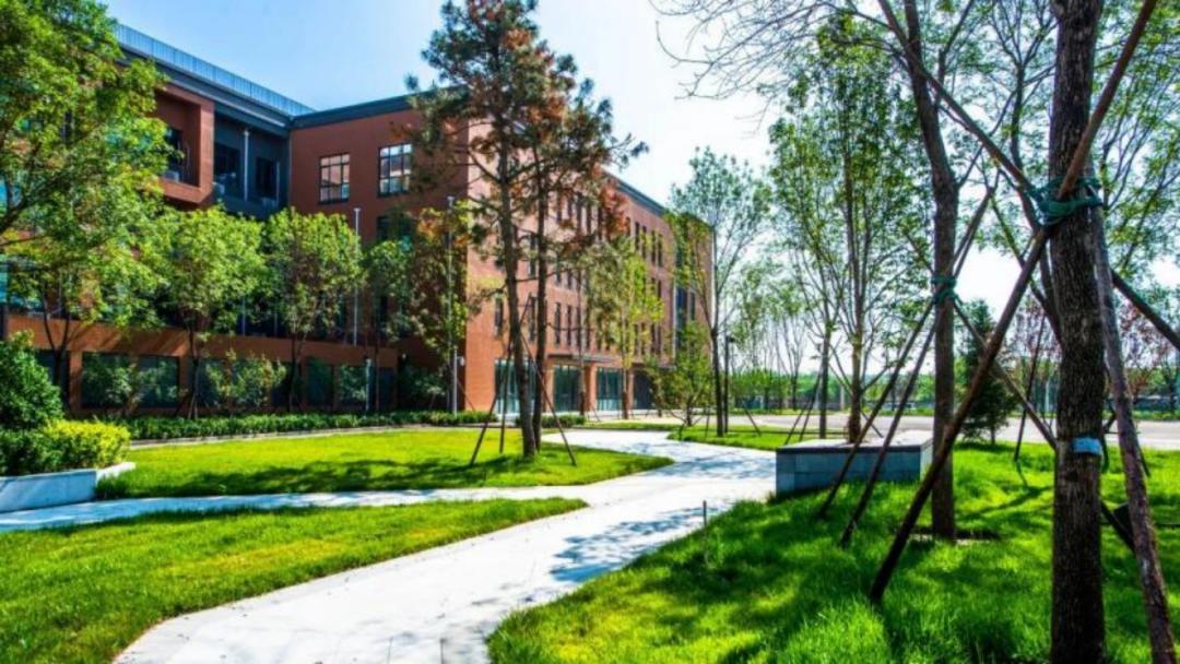 北京中学国际部：在“致中和”的健康教育生态中，成就自由生长