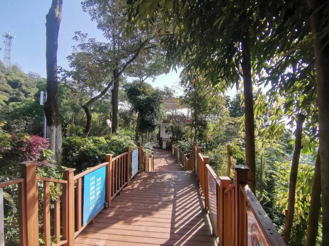 广州市47个免费游玩的地方,广州最适合一日游的57个免费景点