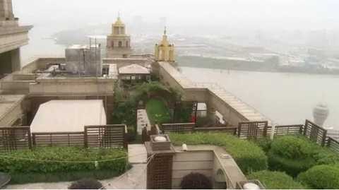 袁隆平去世，张庭偏偏大卖喜庆四件套：“面膜夫妇”的传销人生