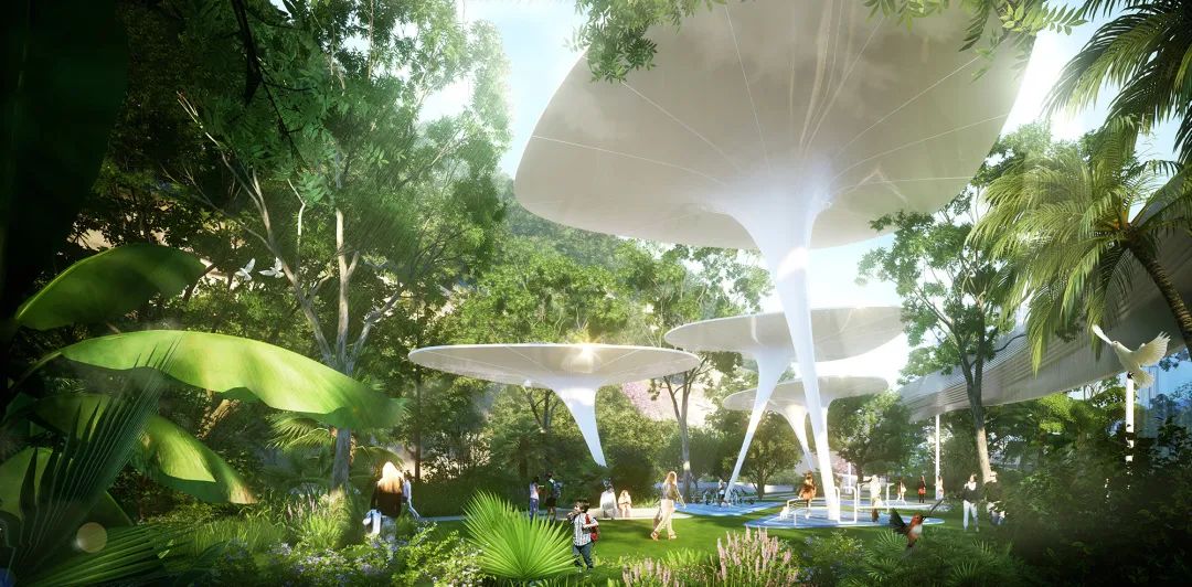 aube欧博深圳湾,aube欧博设计深圳公司经理