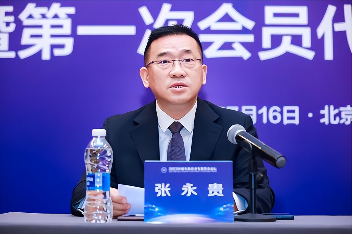 中国投资协会实体经济发展投资专业委员会成立