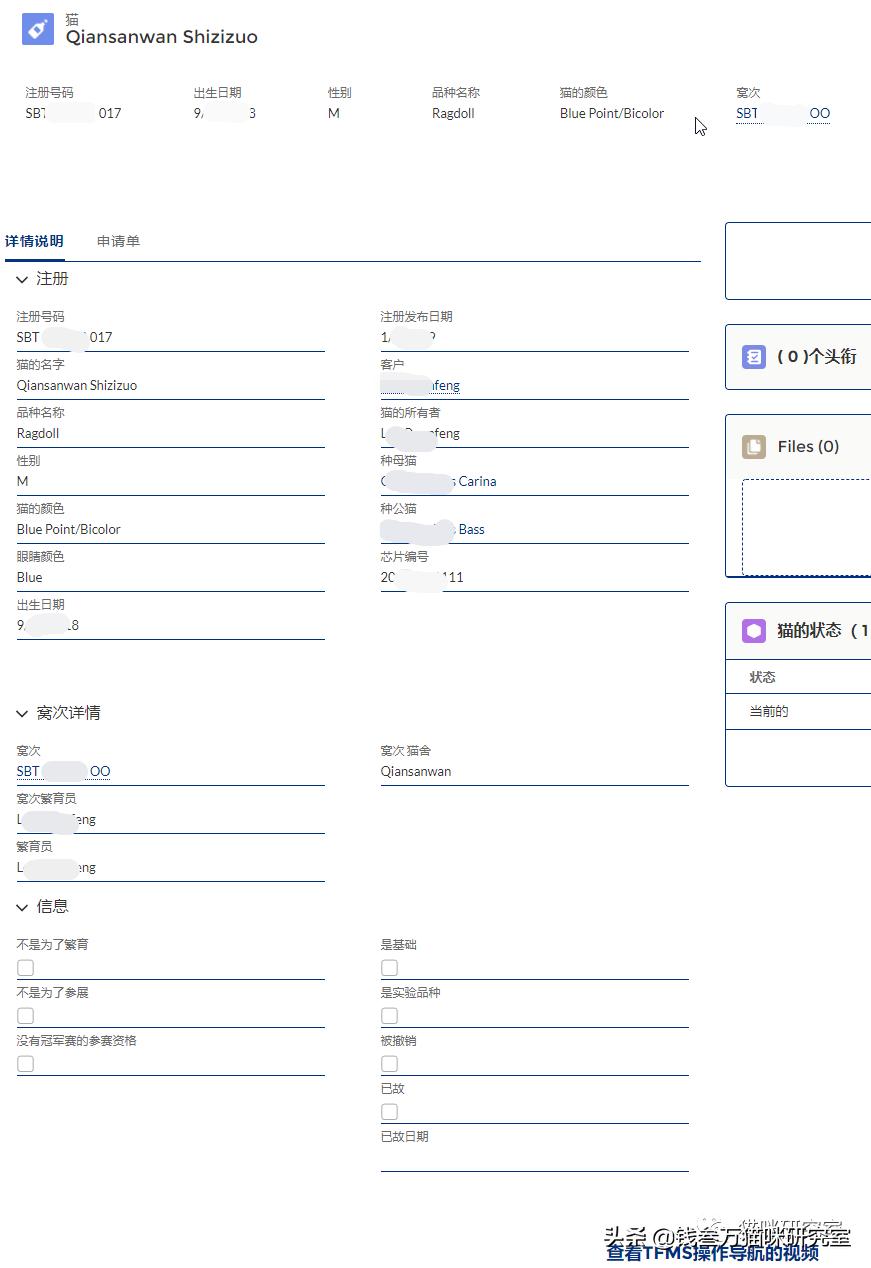 买猫避坑指南,买猫防坑