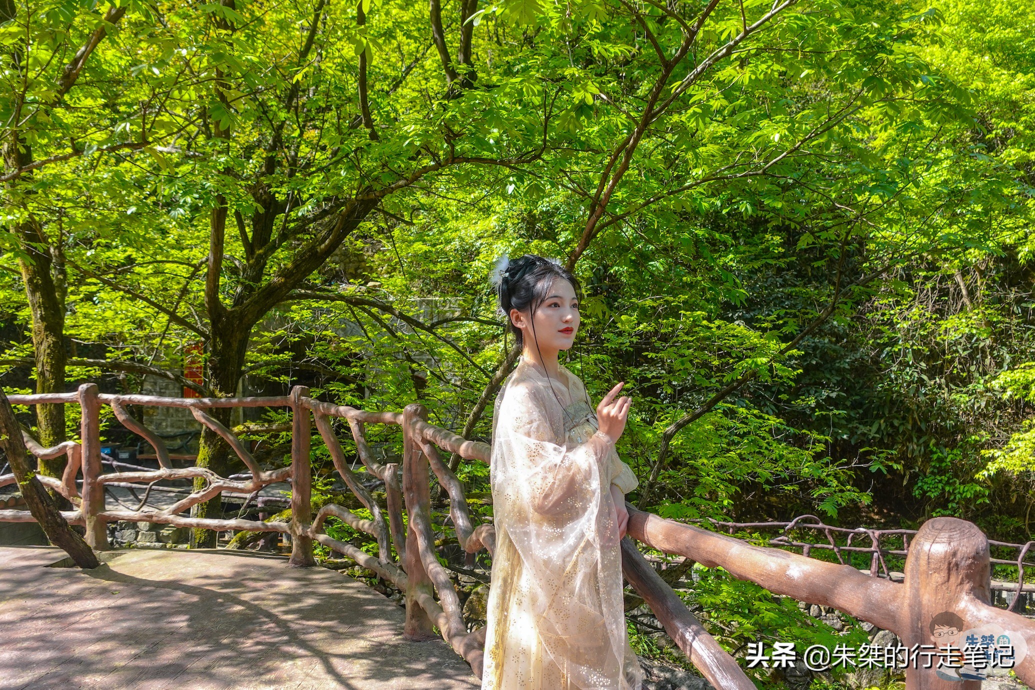 浙江丽水最值得去的避暑胜地,浙江丽水市避暑的好地方