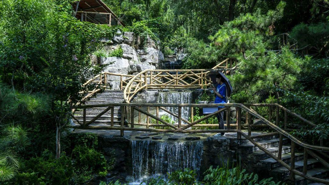 济南旅游公交专线有哪些 (济南近郊公交直达的游玩场所)