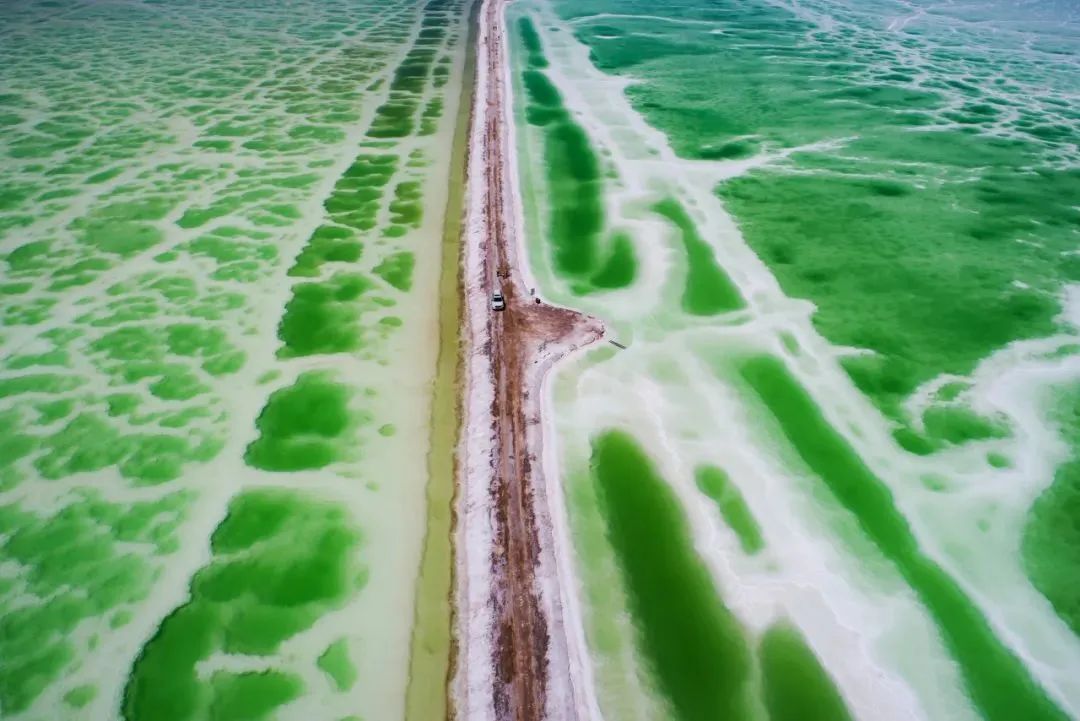 青海：美成了最不像地球的地方