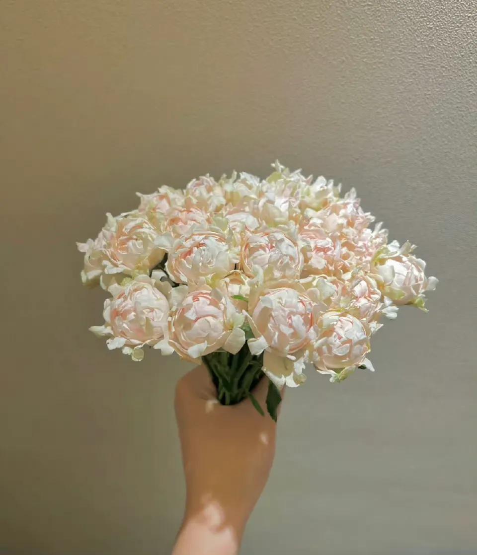 个人成功四步法则,一个人成功五大法则