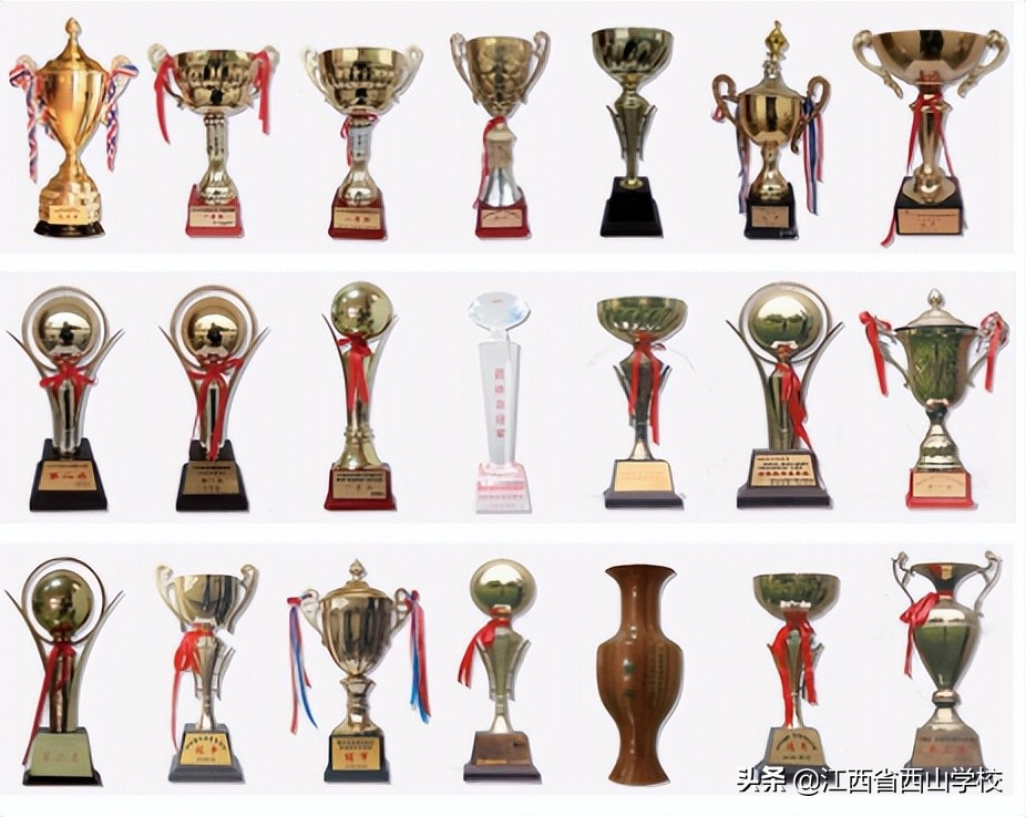 体艺并举特色兴校——江西省西山学校特色建设纪实