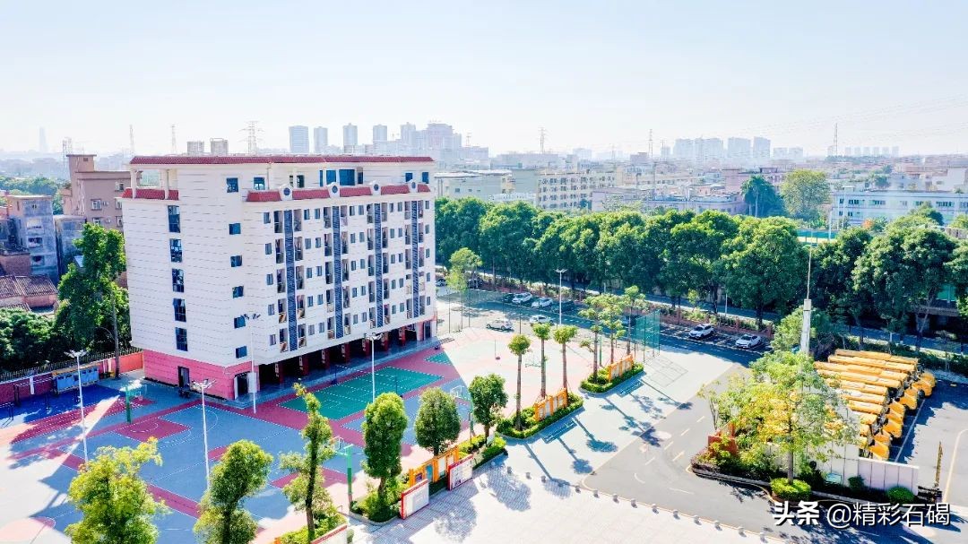 石碣四海学校招生简章,石碣四海学校