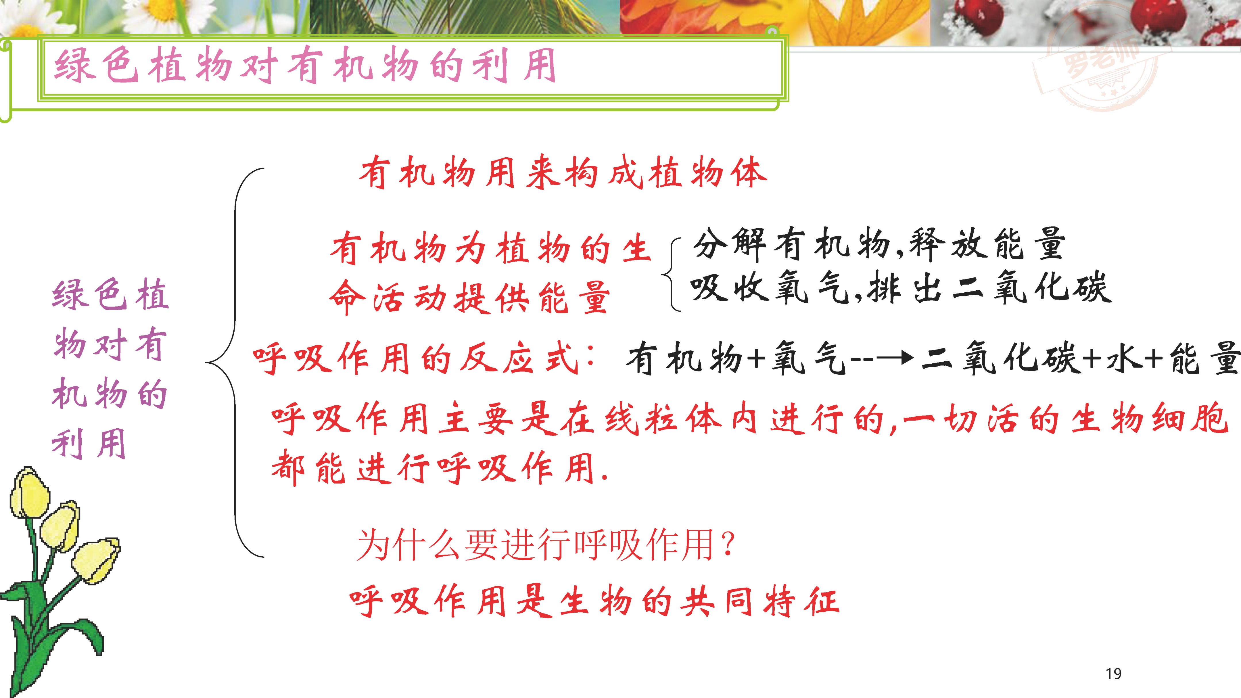 小升初一到六年级复习资料,小升初所有课本