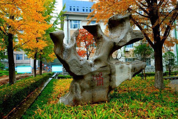 山东农业大学人才引进办法,山东农业大学博士招聘