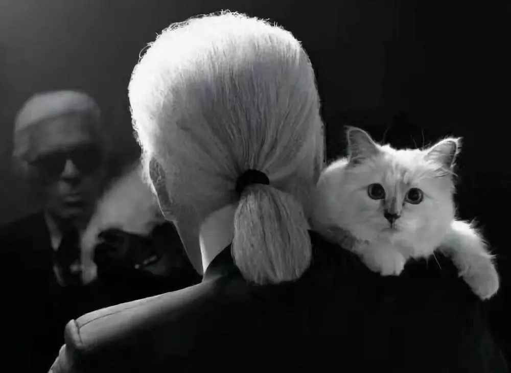 刘雯邓文迪,邓文迪杨紫琼