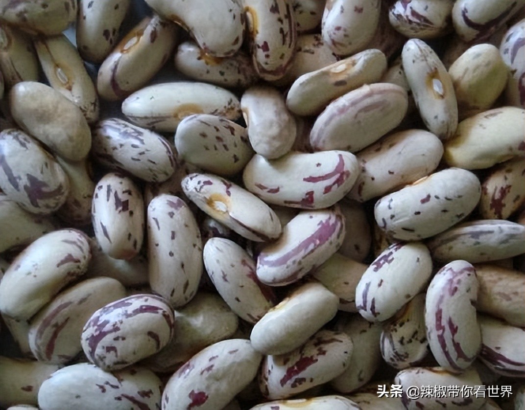 美在黑龙江：走进诗意山水之齐齐哈尔这里是世界大湿地中国鹤家乡