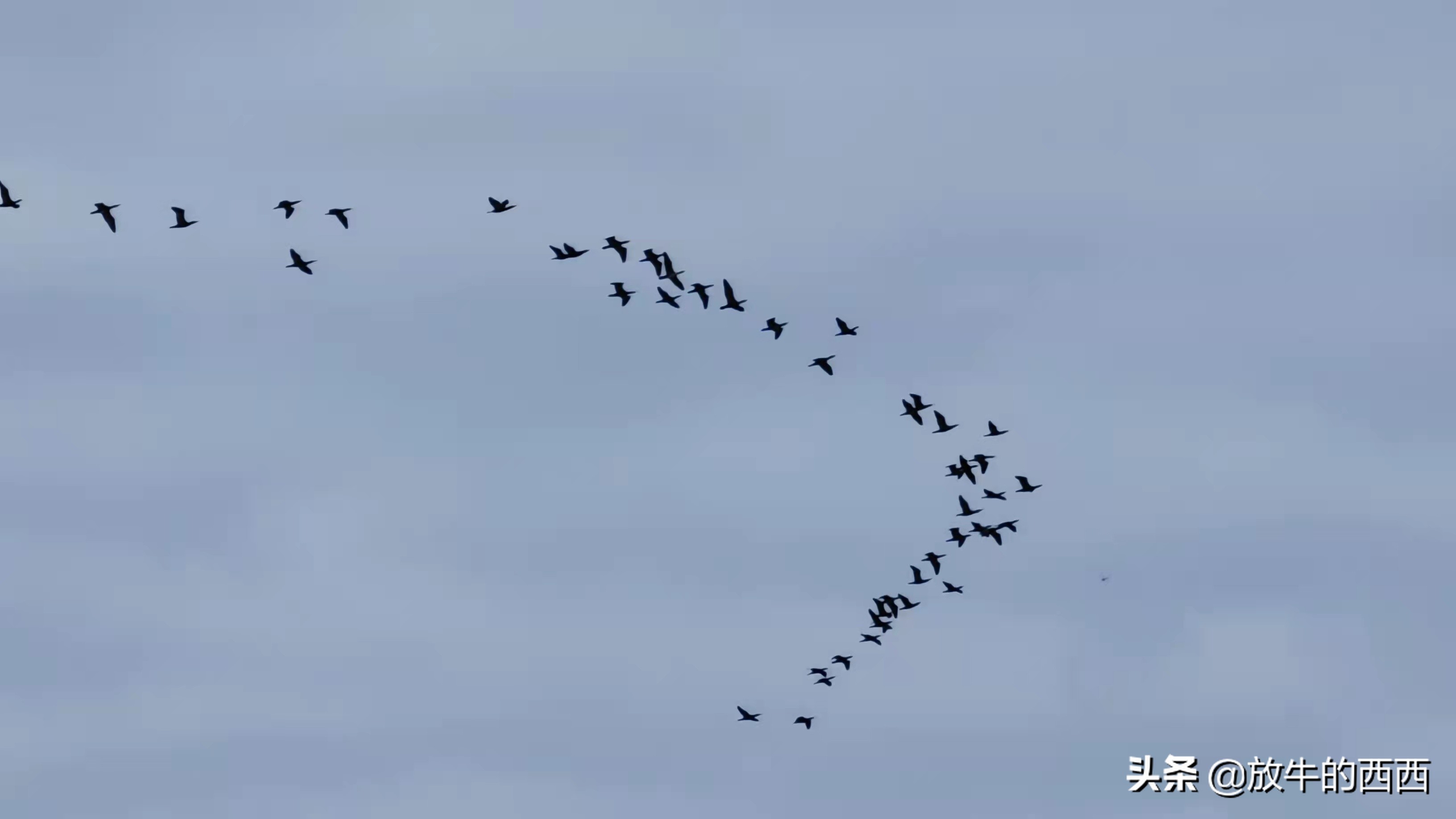 6999元原价购入“厂妹机”,使用近3个月,我后悔了吗?