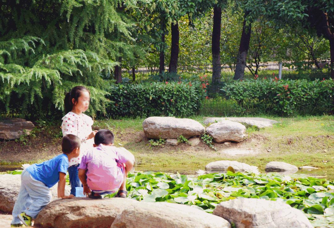 白鹭洲露营基地,白鹭湖免费露营营地