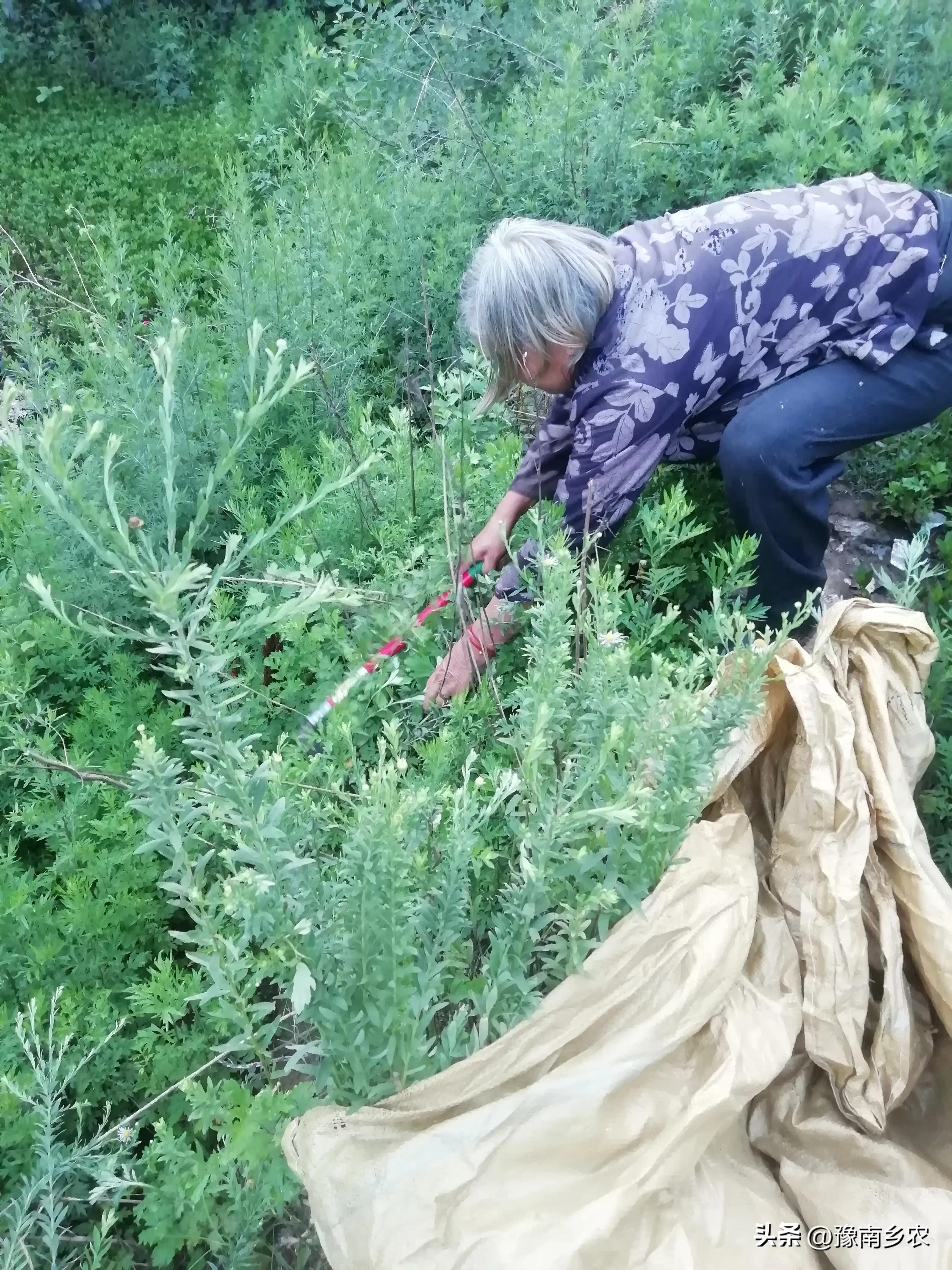 一场车祸彻底改变了我的人生轨迹,一场车祸让我失去了10年的记忆