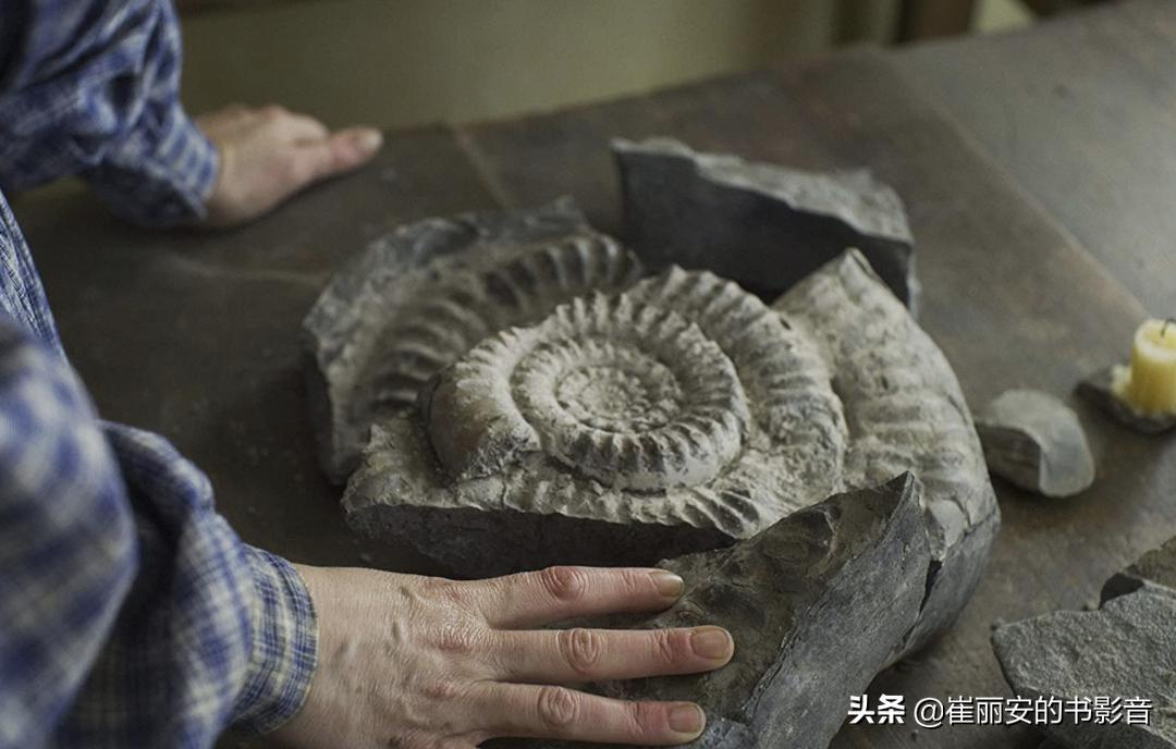 鎶栨．鍩冨鍏嬫柉,鎶栨．涓绘紨鏂板墽鍩冨鍏嬫柉涔嬭泧