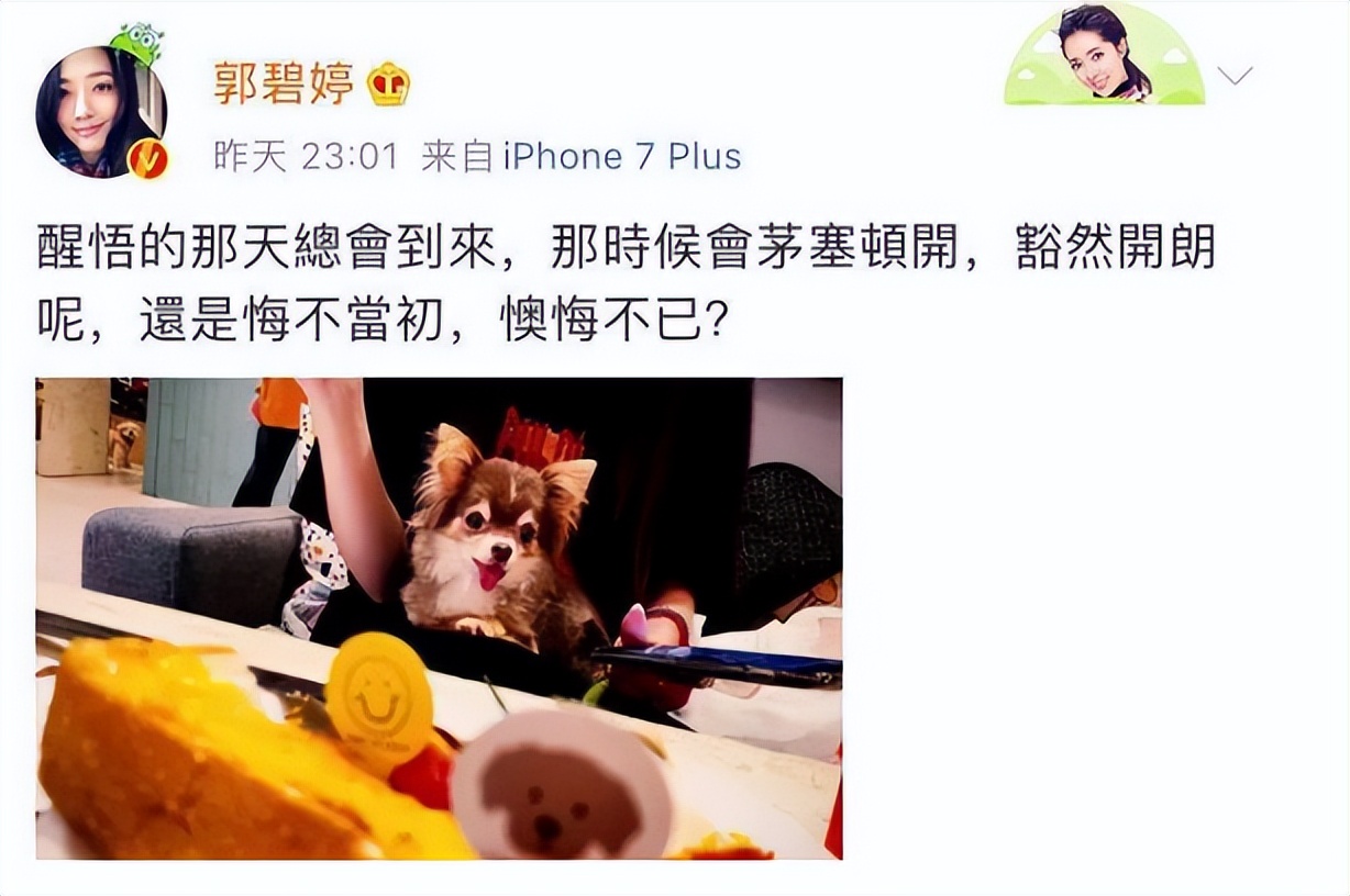 向佐和郭碧婷的绯闻,郭碧婷和向佐最近八卦