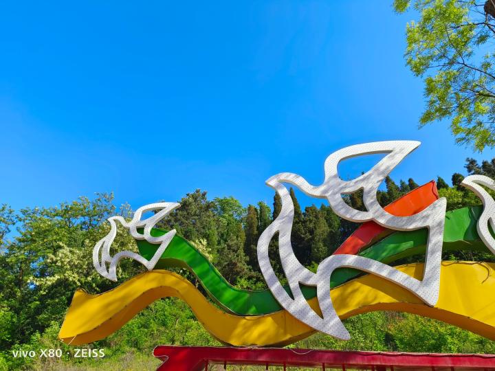 vivox80用了一个月真实感受,vivox80用后感受如何