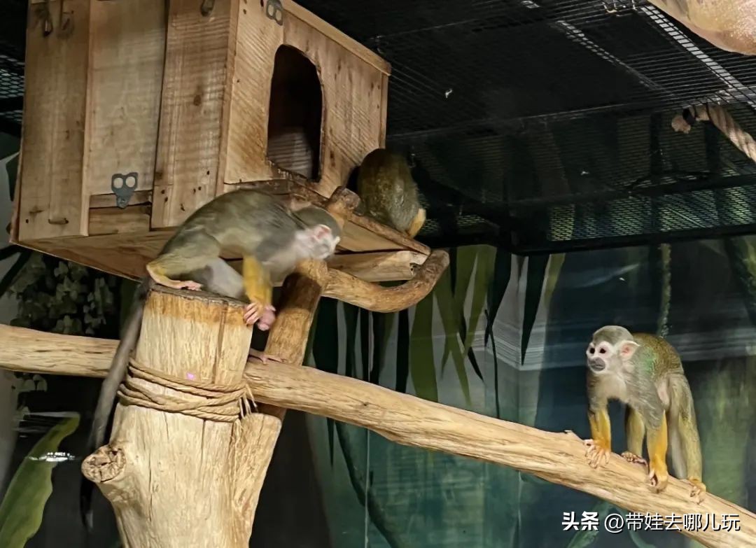 天津海昌极地海洋公园冬天营业吗,天津海昌极地海洋公园游玩攻略