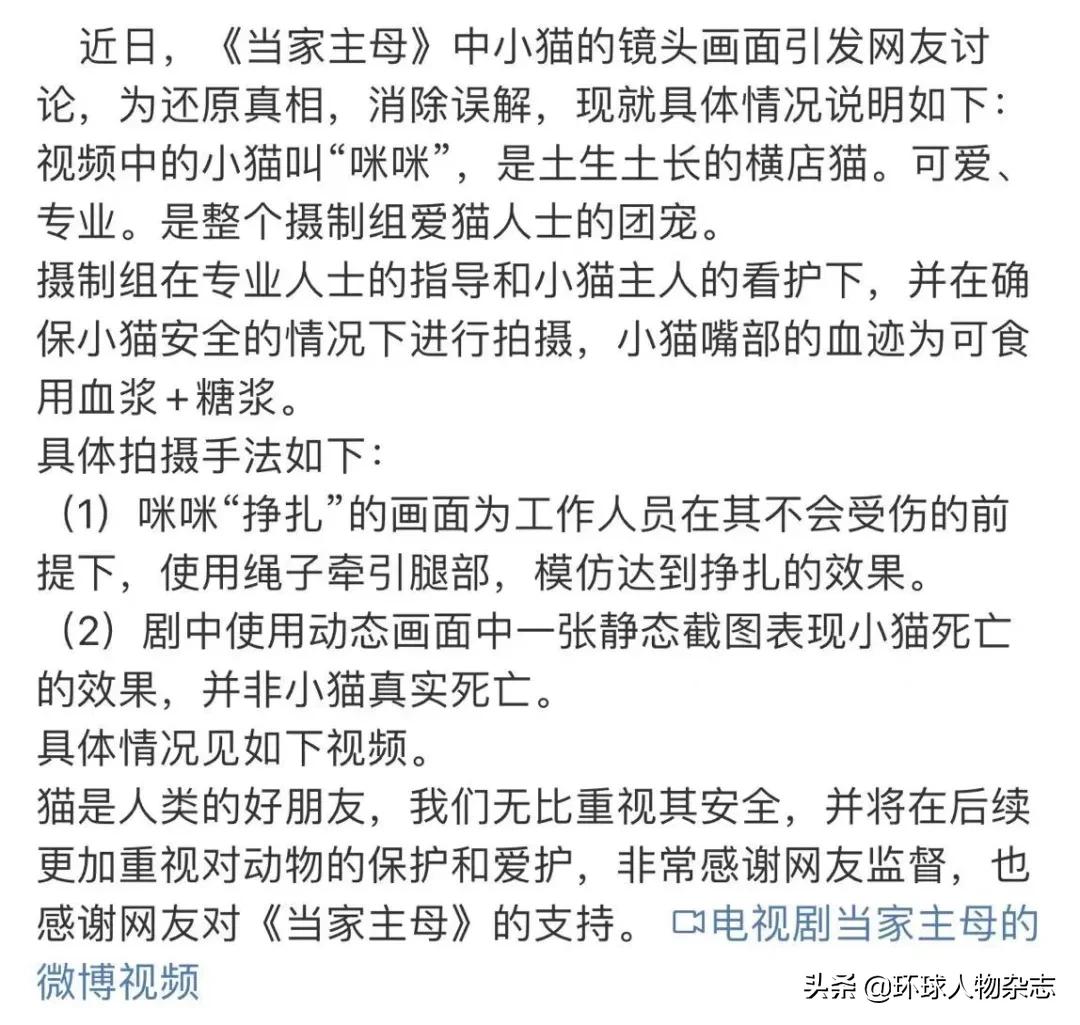 “虐猫罗生门”，人们为何不相信于正？